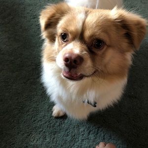 Meet your Posher, Kayuko